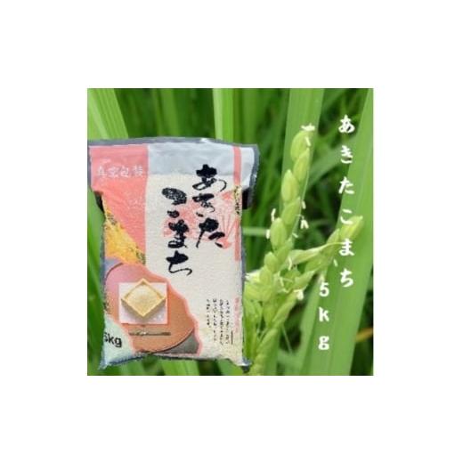 ふるさと納税 米 青森県 十和田市 令和7年産 青森県産あきたこまち白米(真空パック) 精米5kg 1618112