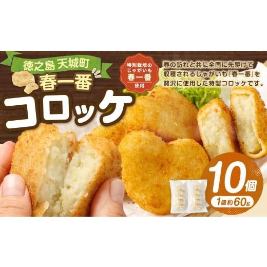 ふるさと納税 惣菜・レトルト 冷凍 鹿児島県 天城町 徳之島 春一番 コロッケ 10個 セット (5個×2袋) 1個当たり約60g 計約600g じゃがいも 惣菜 おかず 冷凍…