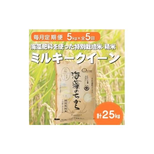 ふるさと納税 米 富山県 小矢部市 毎月定期便 ミルキークイーン(海藻のちから)(精米)5kg全5回 4075146
