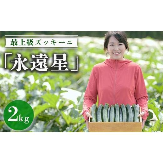 ふるさと納税 野菜類 茨城県 常総市 最上級ズッキーニ「永遠星」 2026年5月上旬〜6月下旬頃に順次発送予定