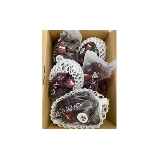 ふるさと納税 ぶどう 和歌山県 有田川町 先行予約 有田巨峰村三木と園のあま〜いジューシー 種あり 藤稔(ふじみのり)2kg(4〜6房)