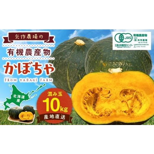 ふるさと納税 野菜類 北海道 津別町 先行受付 R8年産 有機栽培かぼちゃ 10kg | 北海道津別町