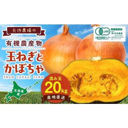 ふるさと納税 野菜類 玉ねぎ 北海道 津別町 先行受付 R8年産 有機栽培玉ねぎ・かぼちゃセット 合計20kg | 北海道津別町