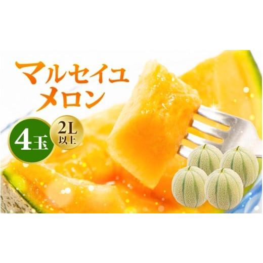ふるさと納税 メロン メロン赤肉 福井県 坂井市 先行予約 数量限定 マルセイユメロン 2Lサイズ以上 × 4玉 (1玉あたり:約1.05〜1.5kg) 福井県三里浜産 糖度1…