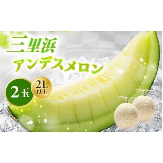 ふるさと納税 メロン メロン青肉 福井県 坂井市 先行予約 数量限定 三里浜アンデスメロン 2L以上 × 2玉 2026年6月下旬より順次発送 メロン めろん フルーツ …