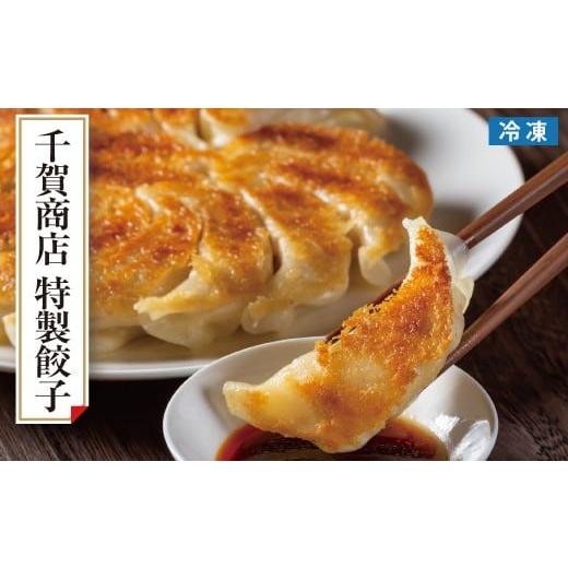ふるさと納税 鶏肉 愛知県 蒲郡市 G0704 千賀商店 特製餃子 2箱(48個入)セット