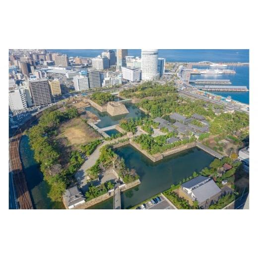 ふるさと納税 体験チケット 香川県 高松市 文化財専門員と行く 高松城ガイド見学ツアー