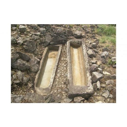 ふるさと納税 体験チケット 香川県 高松市 文化財専門員と行く 石清尾山古墳群(峰山地区)ガイド見学ツアー