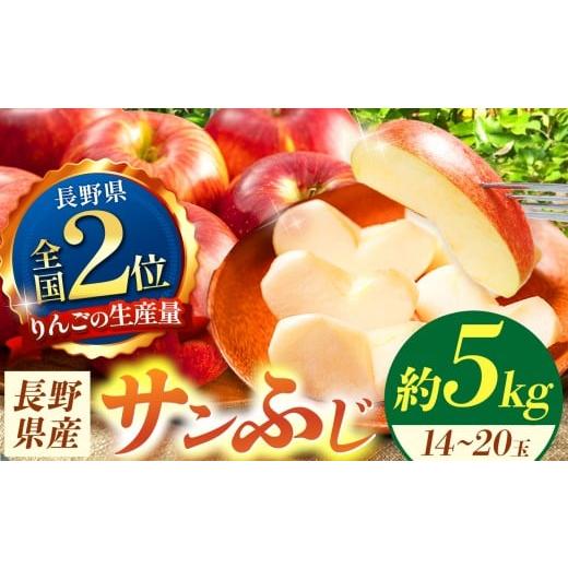 ふるさと納税 りんご 長野県 松本市 信州産 サンふじ約5kg (14〜20玉) | ふるさと納税 果物 くだもの フルーツ サンふじ リンゴ りんご 林檎 信州産 長野県 …