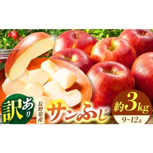 ふるさと納税 りんご 長野県 松本市 松本市産 訳ありサンふじ 約3kg( 9〜12玉) | ふるさと納税 果物 くだもの 訳あり ワケアリ フルーツ サンふじ リンゴ り…