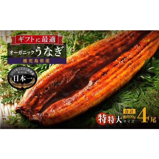 ふるさと納税 うなぎ 鹿児島県 大崎町 数量限定 泰正オーガニックうなぎ蒲焼 特特大4尾合計800g以上