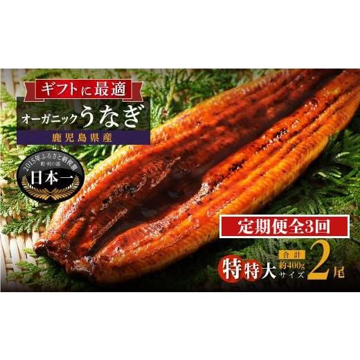 ふるさと納税 うなぎ 鹿児島県 大崎町 定期便 泰正オーガニックうなぎ蒲焼 特特大2尾合計400g以上(全3回)合計6尾