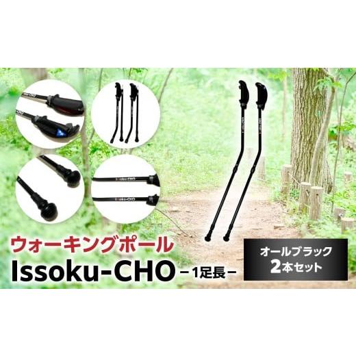 ふるさと納税 アウトドアグッズ 登山・トレッキング 大分県 大分市 ウォーキング Issoku-CHO(1足長) オールブラック 2本セット 大分県 大分市 2本セット ウ…