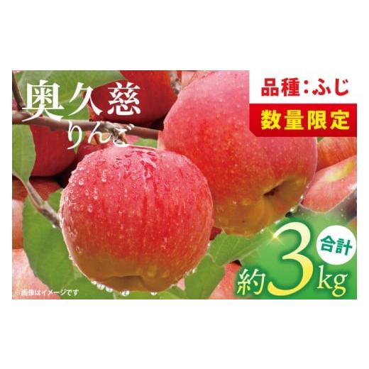 ふるさと納税 りんご 茨城県 大子町 数量限定 11月より順次発送予定 三村観光りんご園の奥久慈りんご「ふじ」約3kg|茨城県 大子町 林檎 旬 果物 フルーツ 果…
