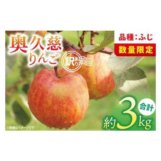 ふるさと納税 りんご 茨城県 大子町 訳あり 11月より順次発送予定 三村観光りんご園の奥久慈りんご「ふじ」約3kg|不揃い 規格外 傷あり 色むら 家庭用 茨城…