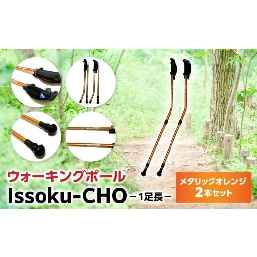 ふるさと納税 アウトドアグッズ 登山・トレッキング 大分県 大分市 ウォーキング Issoku-CHO(1足長) メタリックオレンジ 2本セット 大分県 大分市 2本セット…