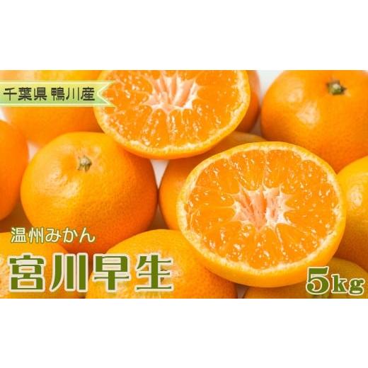 ふるさと納税 果物類 みかん 千葉県 鴨川市 数量限定・先行予約 甘みと酸味の絶妙バランス 温州みかん『宮川早生』5kg