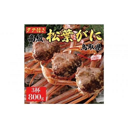 ふるさと納税 カニ 松葉ガニ 鳥取県 琴浦町 2025年11月発送 特撰 松葉がに(なま) ブランドタグ付き 800g超の大きいサイズ 食べ応えあり 特大3杯