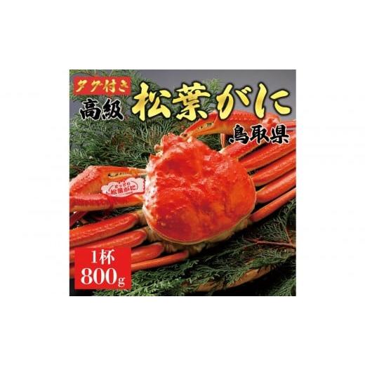 ふるさと納税 カニ 松葉ガニ 鳥取県 琴浦町 2025年11月発送 特撰 松葉がに(茹) ブランドタグ付き 800g超の大きいサイズ 食べ応えあり 特大1杯