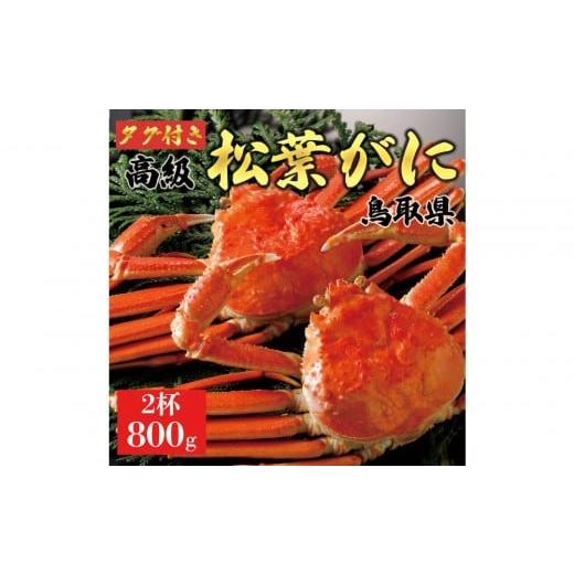 ふるさと納税 カニ 松葉ガニ 鳥取県 琴浦町 2025年11月発送 特撰 松葉がに(茹) ブランドタグ付き 800g超の大きいサイズ 食べ応えあり 特大2杯