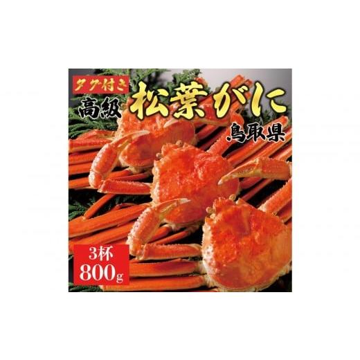 ふるさと納税 カニ 松葉ガニ 鳥取県 琴浦町 2025年11月発送 特撰 松葉がに(茹) ブランドタグ付き 800g超の大きいサイズ 食べ応えあり 特大3杯