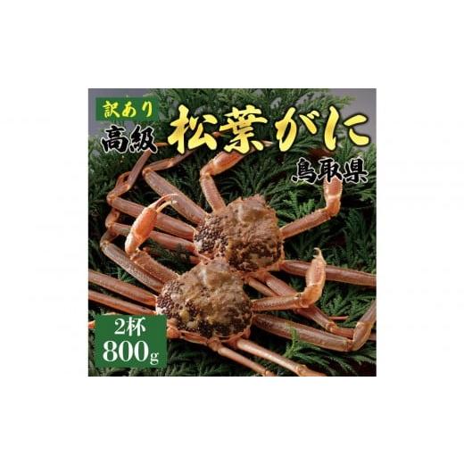 ふるさと納税 カニ 松葉ガニ 鳥取県 琴浦町 2025年11月発送 特撰 松葉がに(なま) 訳あり 800g超の大きいサイズ 食べ応えあり 特大2杯