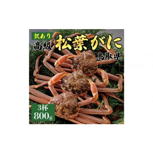 ふるさと納税 カニ 松葉ガニ 鳥取県 琴浦町 2025年11月発送 特撰 松葉がに(なま) 訳あり 800g超の大きいサイズ 食べ応えあり 特大3杯