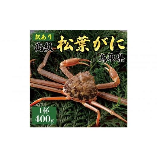ふるさと納税 カニ 松葉ガニ 鳥取県 琴浦町 2025年11月発送 特撰 松葉がに(なま) 訳あり 400g超のサイズ 1杯
