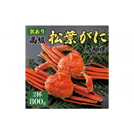 ふるさと納税 カニ 松葉ガニ 鳥取県 琴浦町 2025年11月発送 特撰 松葉がに(茹) 訳あり 800g超の大きいサイズ 食べ応えあり 特大2杯