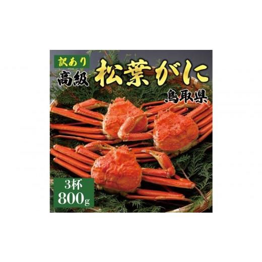 ふるさと納税 カニ 松葉ガニ 鳥取県 琴浦町 2025年11月発送 特撰 松葉がに(茹) 訳あり 800g超の大きいサイズ 食べ応えあり 特大3杯