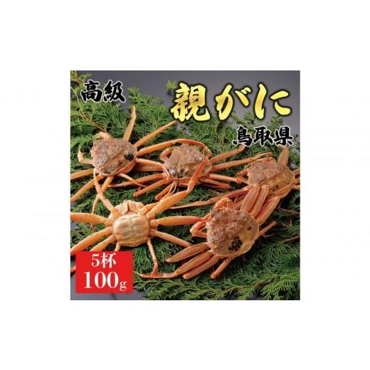 ふるさと納税 カニ ずわいガニ 鳥取県 琴浦町 2025年11月発送 鳥取県産 特撰 親がに 姿 セコガニ (なま) 訳あり 100g 5杯