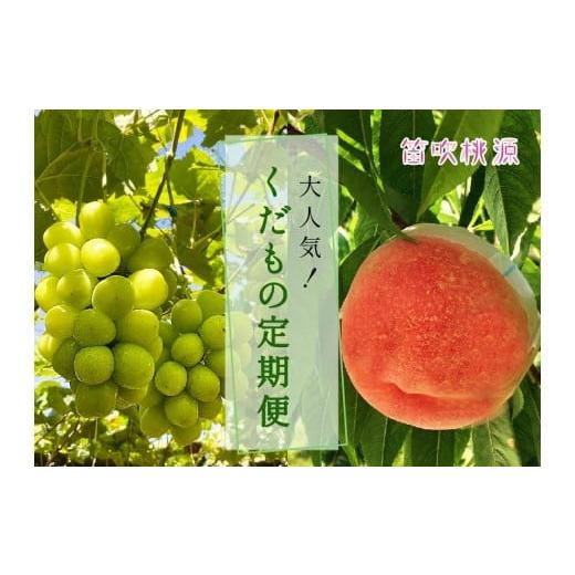 ふるさと納税 ぶどう マスカット 山梨県 笛吹市 2026年発送 先行予約 大人気くだもの定期便全2回 157-011