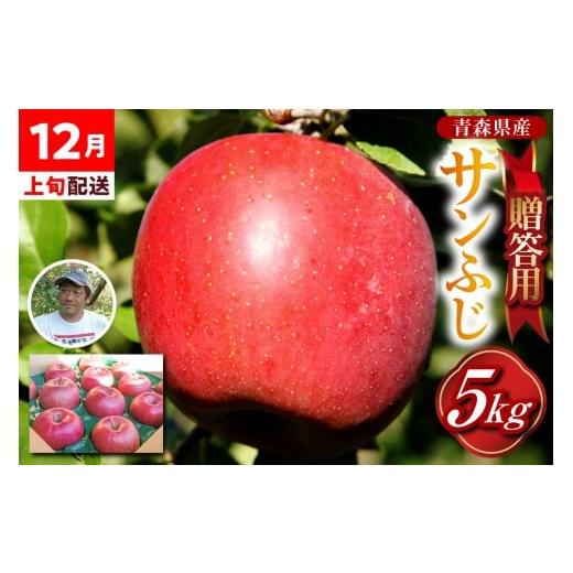 ふるさと納税 りんご 青森県 五所川原市 りんご 贈答用 2025年12月上旬発送 約 5kg サンふじ 五所川原 金賞受賞歴あり (りんご品評会) 青森りんご サンふじ…