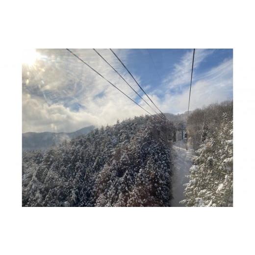 ふるさと納税 スキーチケット 長野県 阿智村 スキーシーズン ゴンドラリフト1日券引換券