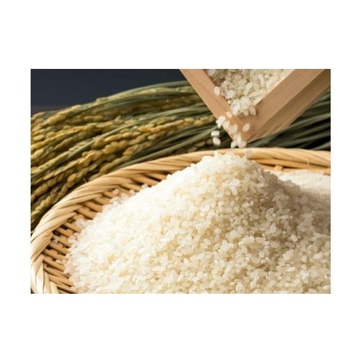 ふるさと納税 米 福岡県 福岡市 福岡限定のお米「元気つくし」5kg×1袋 令和7年産