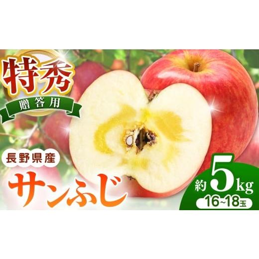 ふるさと納税 りんご 長野県 松本市 贈答用(特秀) サンふじ 約5kg 16〜18玉 数量限定 | サンふじ さんふじ 林檎 りんご 長野県 松本市 果物 フルーツ ふ…