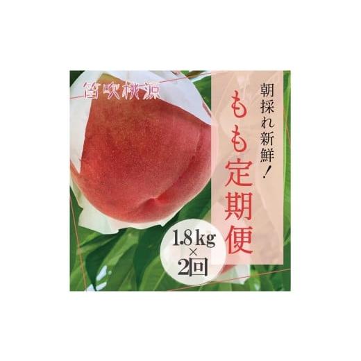 ふるさと納税 ぶどう マスカット 山梨県 笛吹市 2026年発送 先行予約 朝採れ 桃 定期便 全2回 (笛吹桃源) 157-009