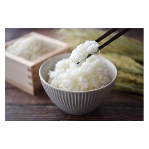 ふるさと納税 米 コシヒカリ 長野県 千曲市 令和7年産コシヒカリ精米5kg| コシヒカリ ご飯 米 白米 千曲市 長野県 信州 5kg