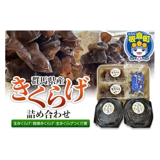ふるさと納税 野菜類 きのこ 群馬県 板倉町 きくらげ 詰め合わせセット 群馬県産 生きくらげ 乾燥きくらげ つくだ煮 3種 計5個