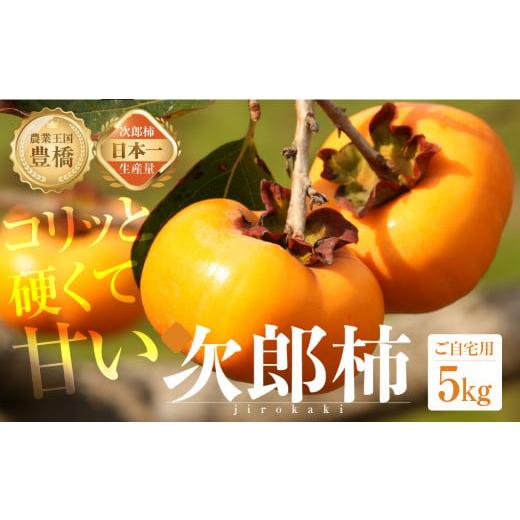 ふるさと納税 果物類 柿 愛知県 豊橋市 先行予約 2026年発送 次郎柿 5kg (15〜25玉) 訳あり 生産量日本一 豊橋石巻産 柿 不揃い 甘柿 果物 愛知県 豊橋市 202…