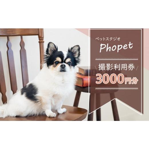 ふるさと納税 体験チケット 和歌山県 印南町 ペットスタジオPhopet 撮影利用券3000円分相当