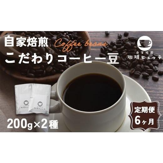 ふるさと納税 コーヒー コーヒー豆 京都府 舞鶴市 6ヶ月定期便 自家焙煎珈琲 こだわり コーヒー豆 400g×6回 (200g×2袋 毎月6回) | 定期便 6カ月 コーヒ…