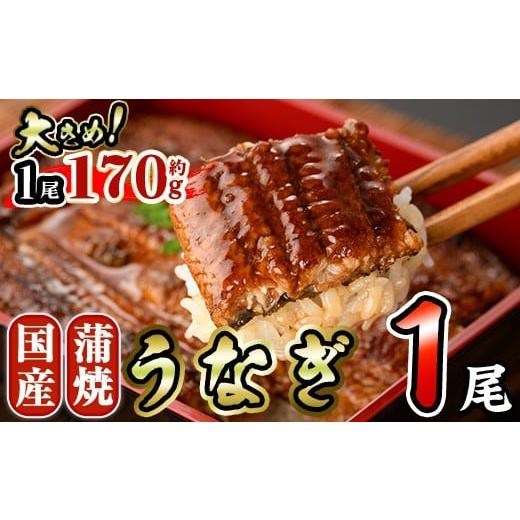 ふるさと納税 うなぎ 宮崎県 門川町 国産 うなぎ 蒲焼 (約170g×1尾) 鰻 タレ かば焼き うな重 うな丼 ひつまぶし 小分け 真空包装 真空パック AW-89 丸正水産…