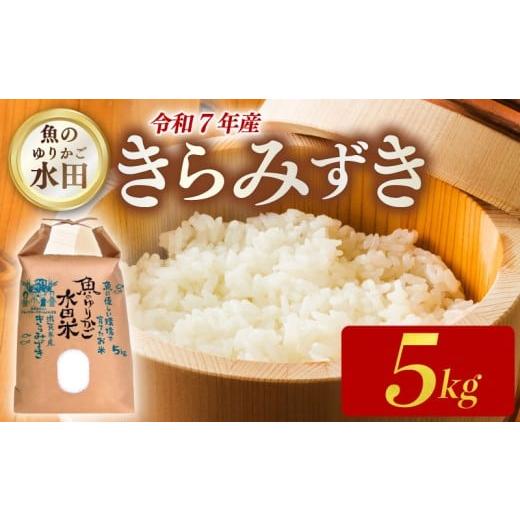 ふるさと納税 米 滋賀県 彦根市 令和7年産 環境こだわり栽培 きらみずき5kg 新米 ひこにゃん米 魚のゆりかご水田 精米 白米 米 こめ ごはん ご飯 弁当 おにぎ…