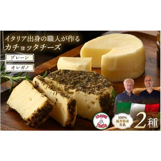 ふるさと納税 加工品等 チーズ 福井県 あわら市 100%県産生乳 イタリア出身の職人が作るカチョッタチーズ2種(プレーン、オレガノ) aw128-a001
