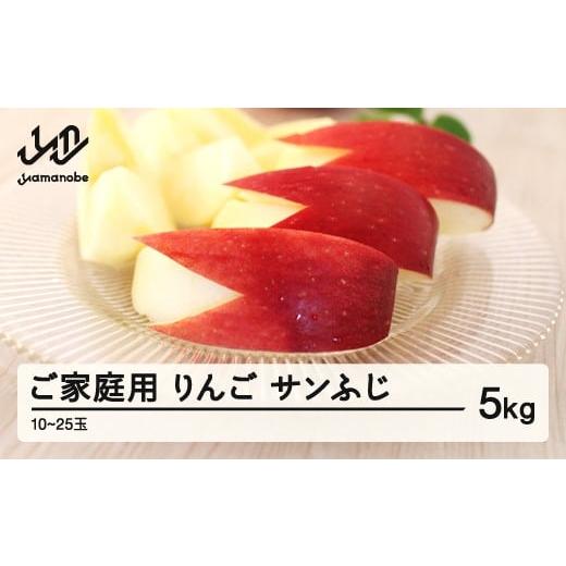 ふるさと納税 りんご 山形県 山辺町 [先行予約]サンふじ ご家庭用 5kg 令和7年産 2025年産 りんご サンふじ 山形県産 果物 送料無料 沖縄・離島への配送不可…