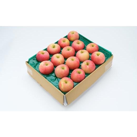 ふるさと納税 りんご 山形県 山辺町 サンふじ ご家庭用 5kg 令和7年産 2025年産 りんご サンふじ 山形県産 果物 送料無料 沖縄・離島への配送不可 ns-risfw5