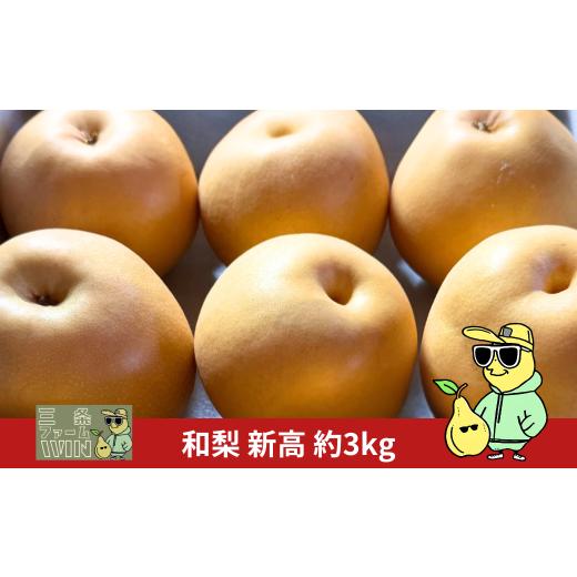 ふるさと納税 梨 新潟県 三条市 和梨 新高 約3kg 秀品 令和7年度 新潟フルーツ 新潟県産 梨 三条ファームWIN