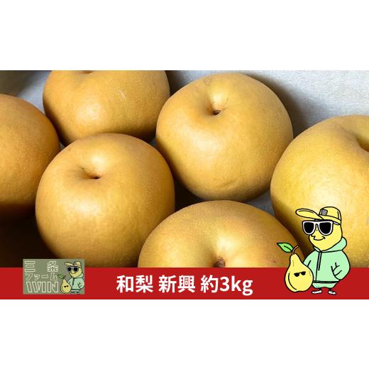 ふるさと納税 梨 新潟県 三条市 和梨 新興 約3kg 秀品 令和7年度 新潟フルーツ 新潟県産 梨 三条ファームWIN