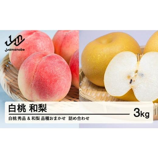 ふるさと納税 果物の詰合せ 山形県 山辺町 [先行予約]もも 白桃 秀品 和梨 詰め合わせ 品種おまかせ 化粧箱入り 3kg フルーツ 果物 アソート 2026年産 令和8…